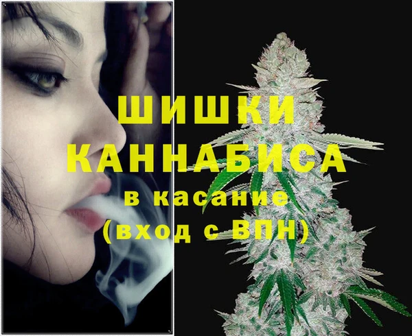 PSILOCYBIN Баксан