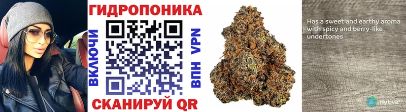 Канабис ГИДРОПОН  Купить где  Ступино 